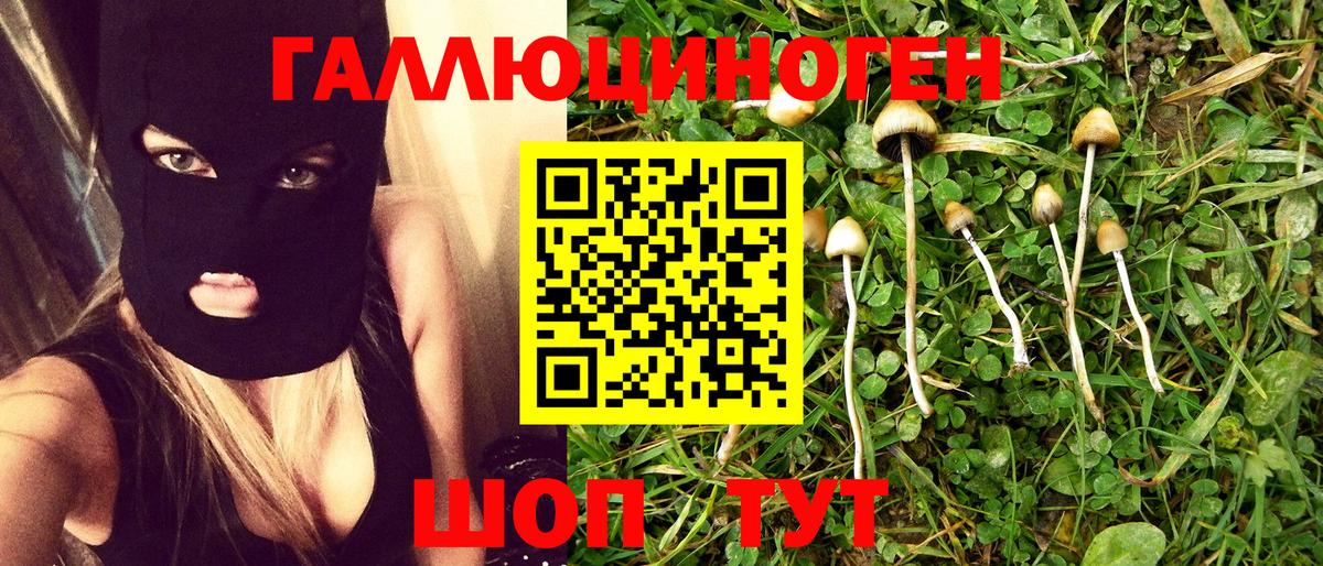 Псилоцибиновые грибы мицелий  Галлюциногенные грибы Psilocybe  Вход с VPN  Елец 