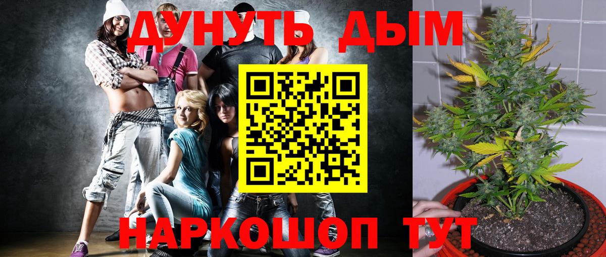 Бошки марихуана OG Kush Елец